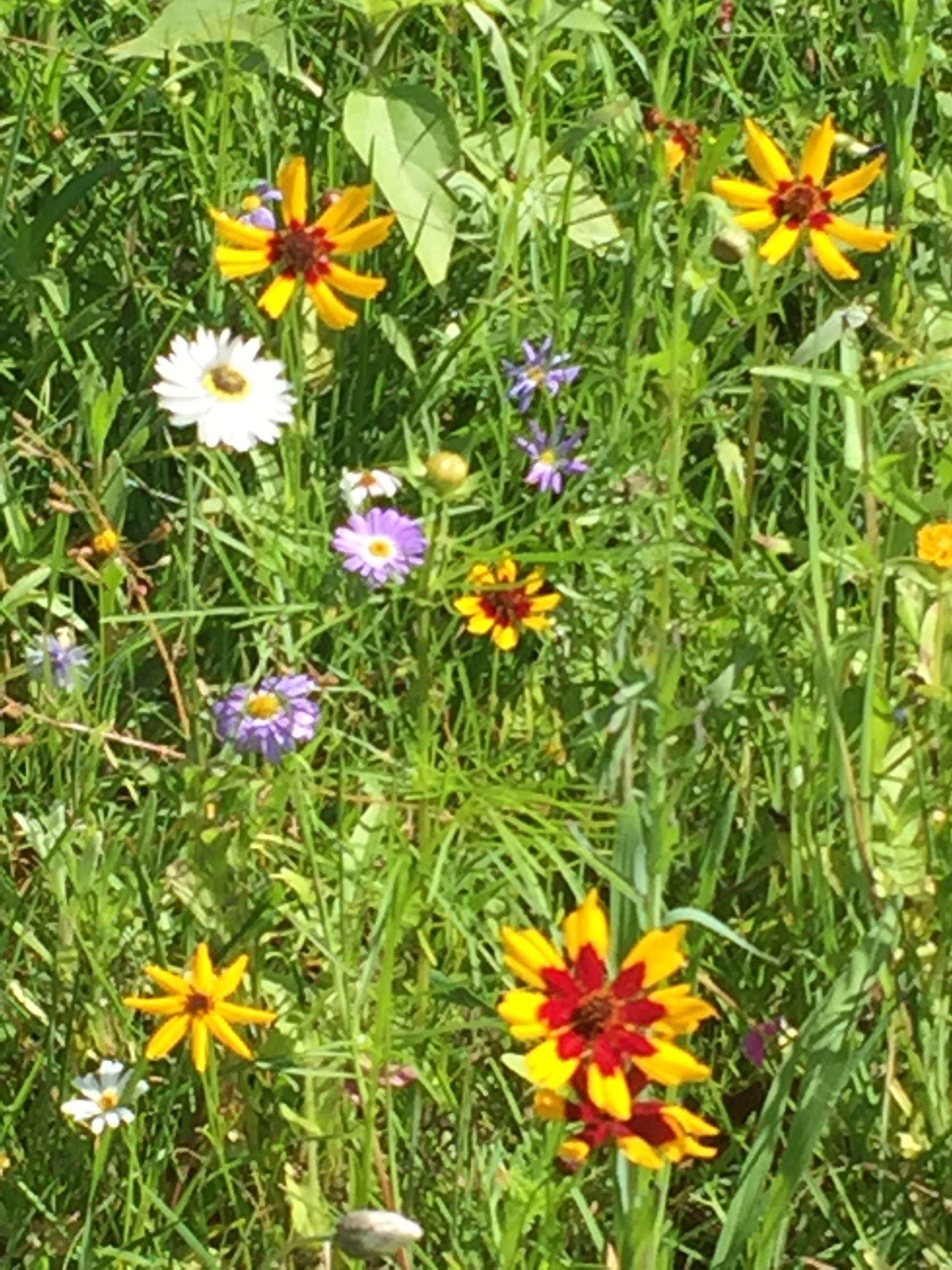 Naturwuchs Garten Landschaft Bau Ihr Landschaftsgärtner in Varel und