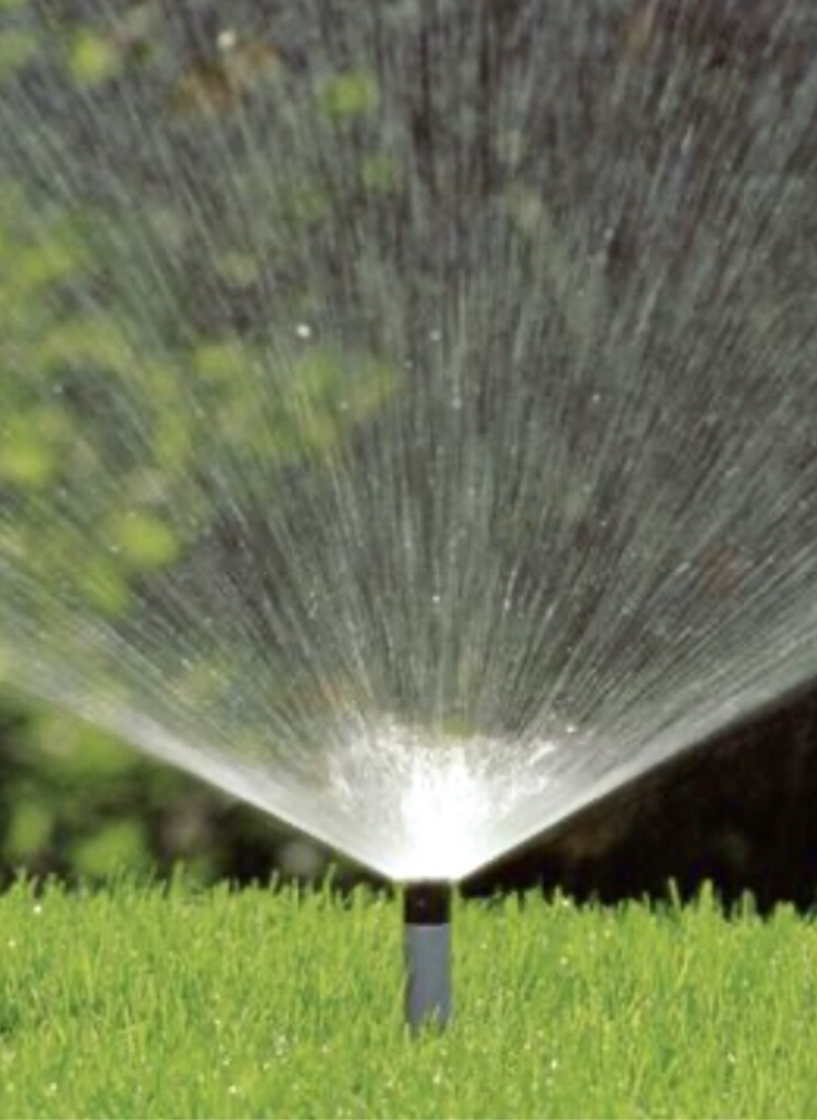 Naturwuchs Garten Landschaft Bau Ihr Landschaftsgärtner in Varel und